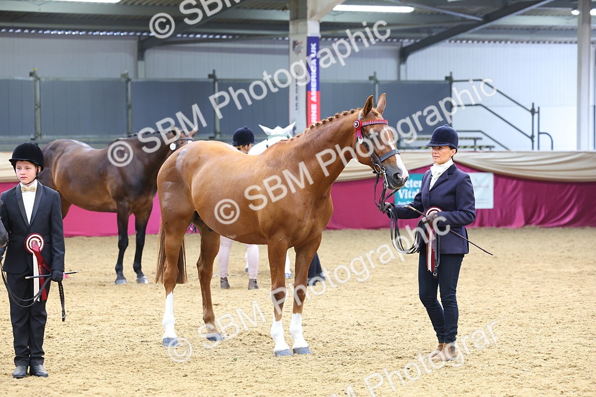 SBM_21190 - Class 902 - Supreme Final IH Veteran