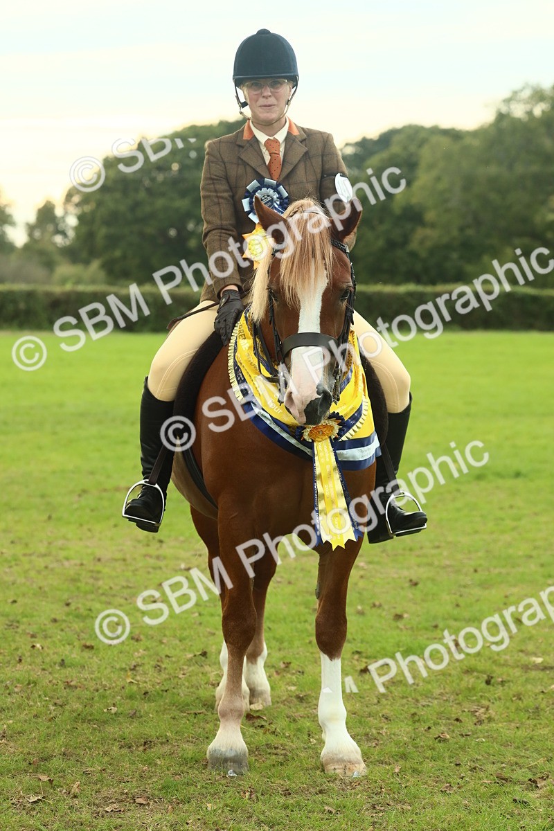 SBM_75310 - Super Supreme Championship