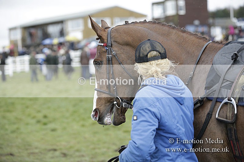 PtP 150320 0260 - New Forest Point-to-Point Larkhill 15/03/20