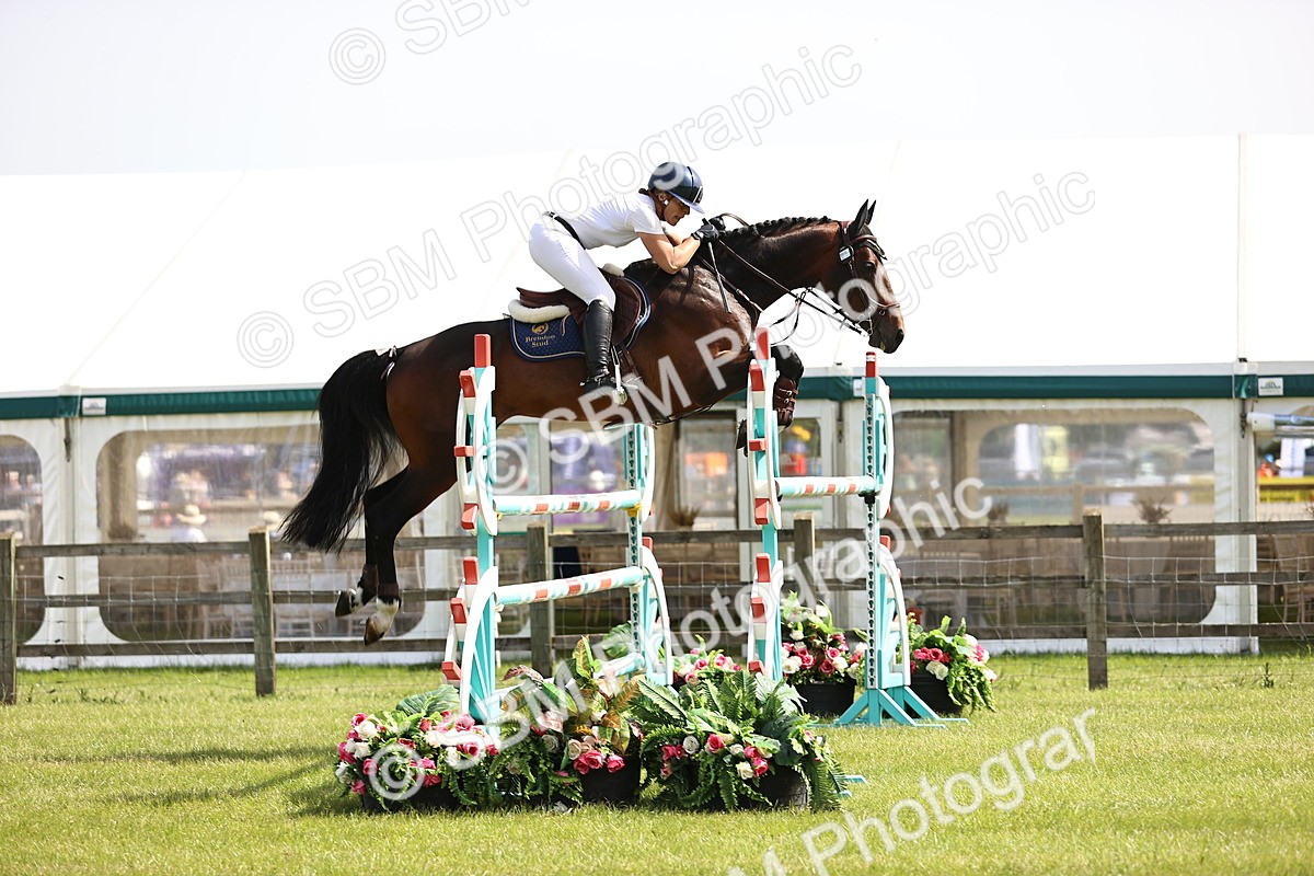SBM_03031 - Class 201 - British Horse Feedds Speedi Beet HOYS Grade C