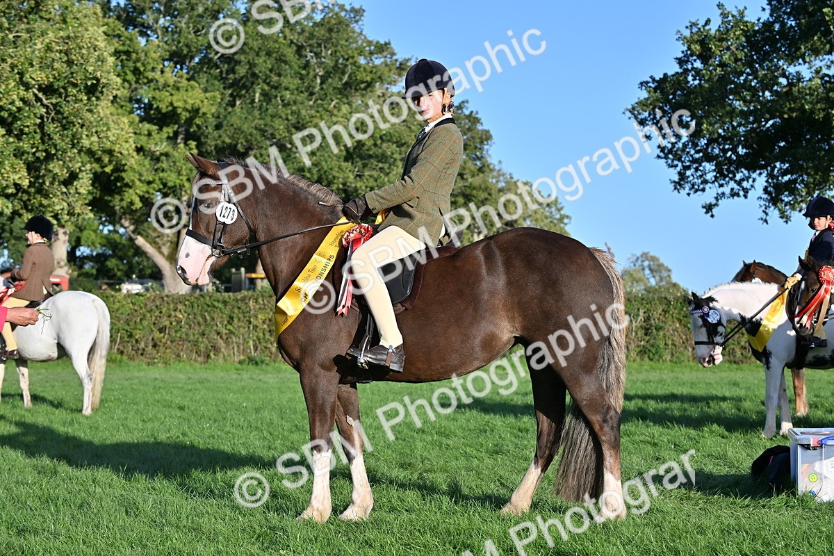 SBM_52315 - First Ridden Supreme Championship