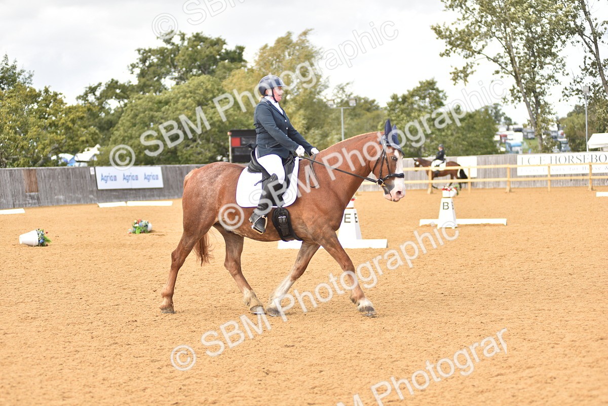 SBM_24389 - D4 - Small Tour Championship Intro 4