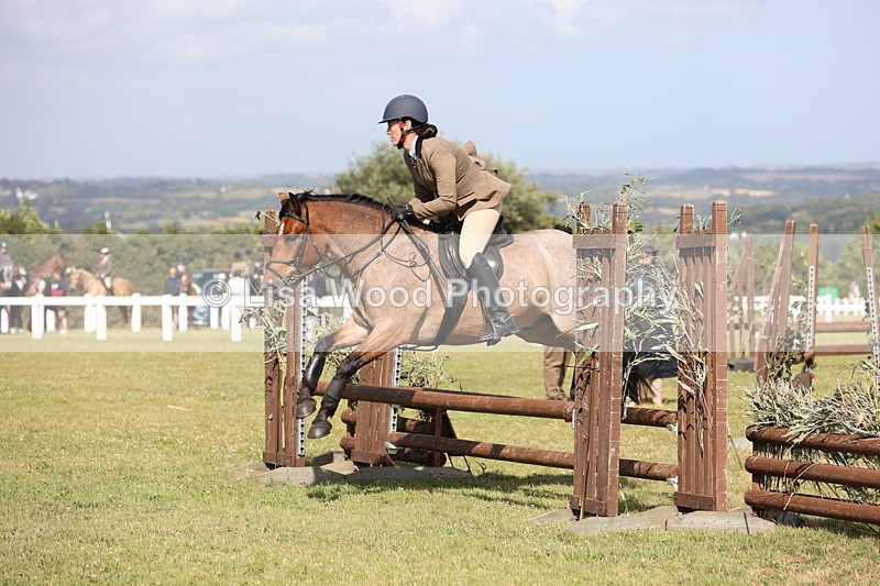 JPP_2651 - Class 20: Working Hunter 70cm