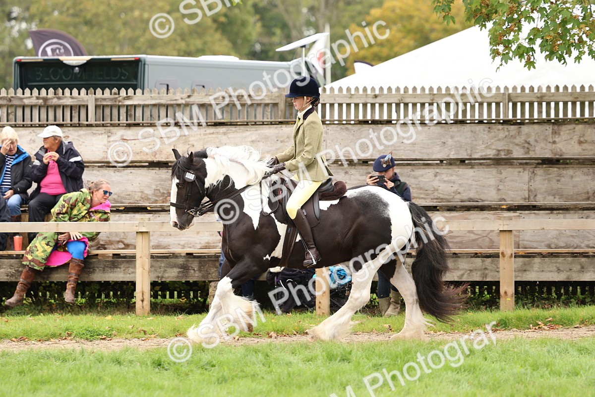 SBM_64508 - S58 - Coloured Pony Ridden