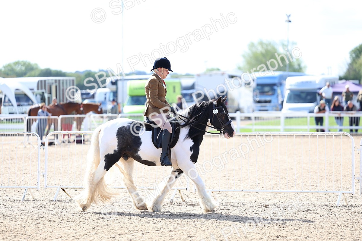 SBM_11367 - Class 307 - Ridden Coloured Pony