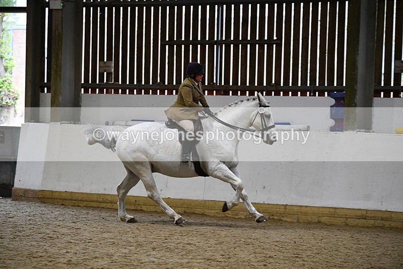 WJ5_9056 - Class 15 Ridden Show Horse