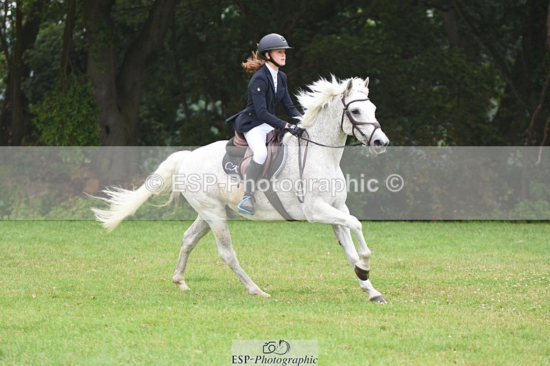 230618-105252-10574 - Cls 28 British Novice & 80cm Open