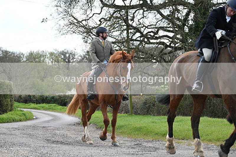 WJ7_9894 - Walk Home