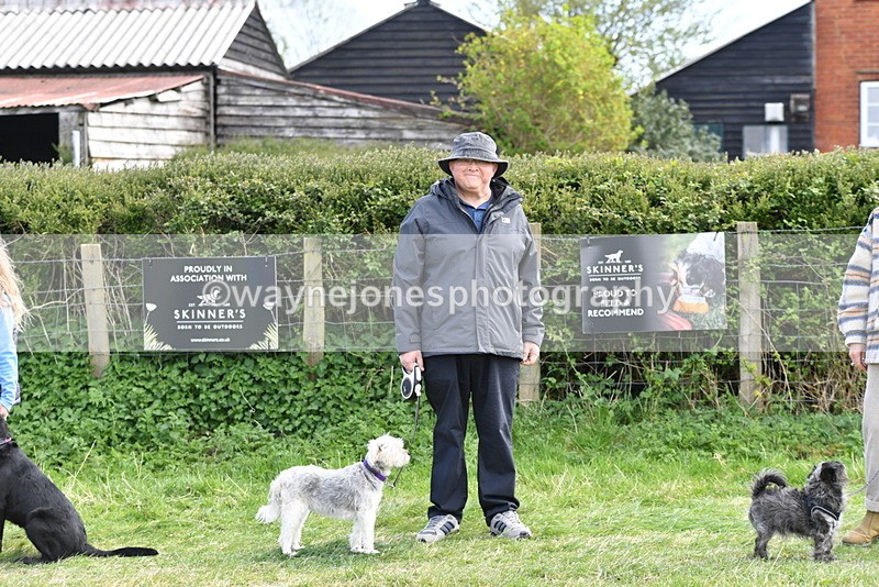 WJ5_0691 - Best in Show Championship