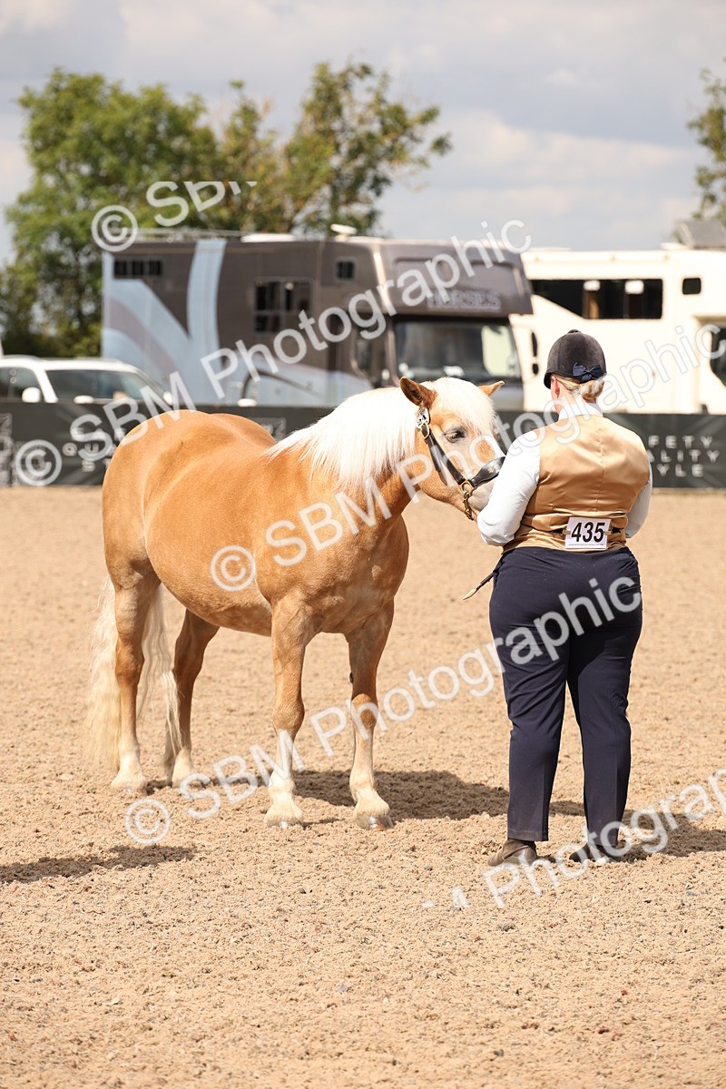 SBM_04658 - Class 20 IH Veteran