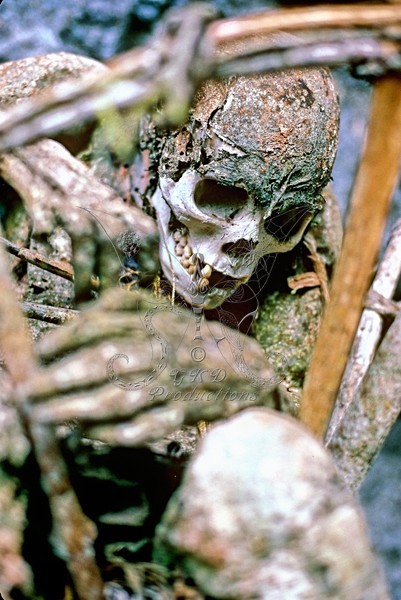Body in Basket - Papua New Guinea - PEOPLE