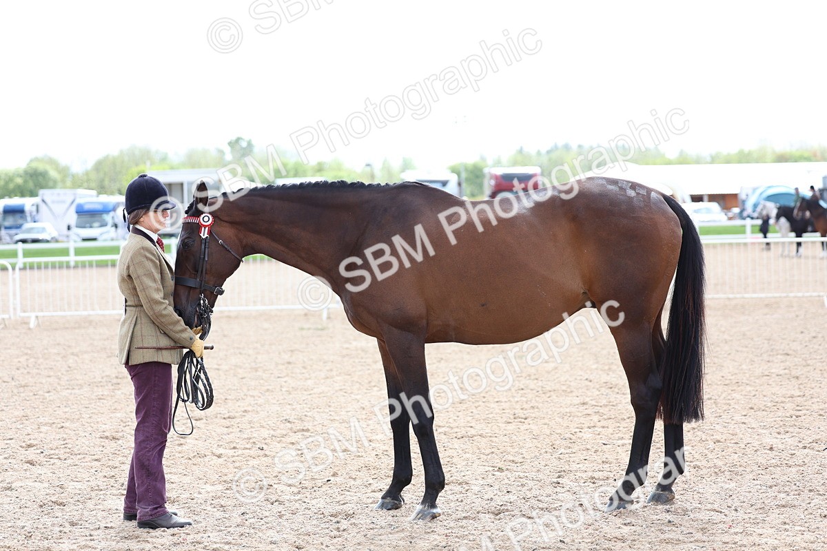 SBM_15280 - Class 313 - IH Retired Racehorse