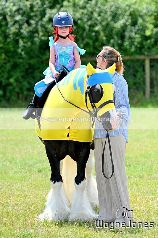 WJ7_7826 - Nancy And Churchill SORC summer show 21-06-26
