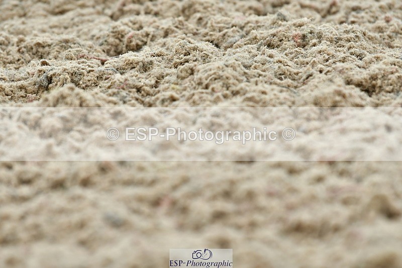 230630A-115428-01466 - Cls 5 Novice 37A