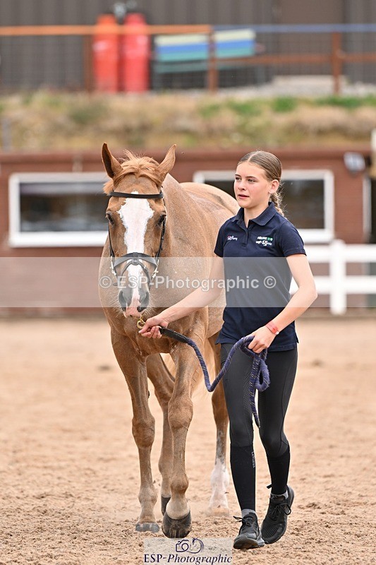 250716-153015-01971 - Trot Up 3.30 to 4.30