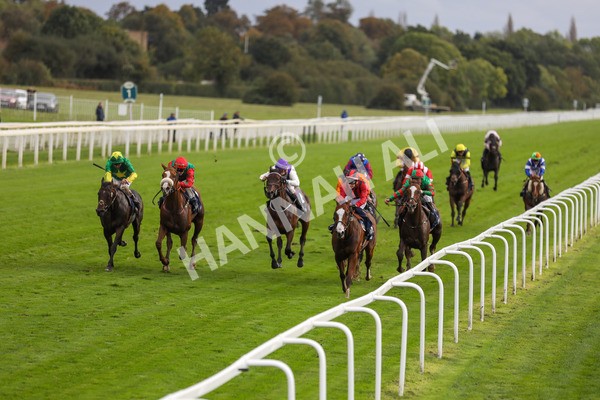 131023-Race 4-Hafeet Alain-9799 - Race 4 3.50pm William Hill Autumn Mile Handicap