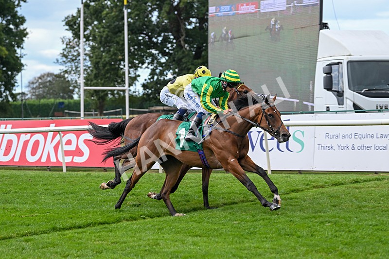 290825-Race 2-Brigids Well-8377 - Race 2