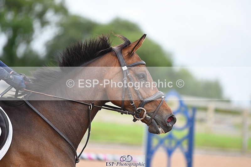 230711A-172554-00250 - 80cm