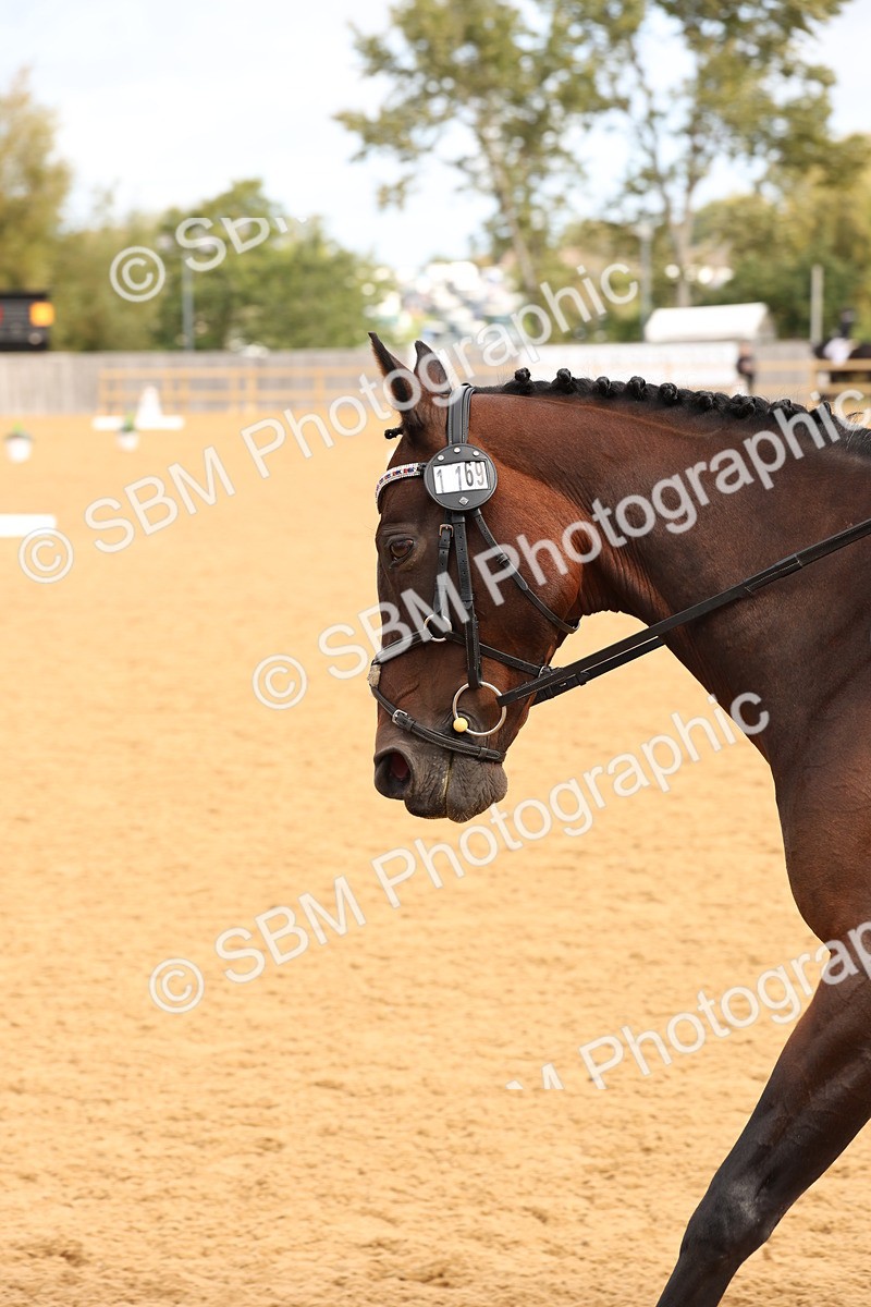 SBM_16149 - D10 - Small Tour Championship Prelim 2