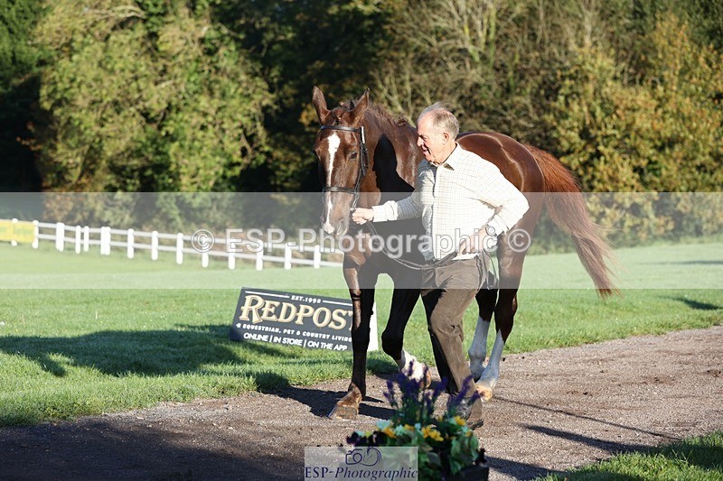 241027-084505-14794 - 315-Andrew.Winterton-STALLONE