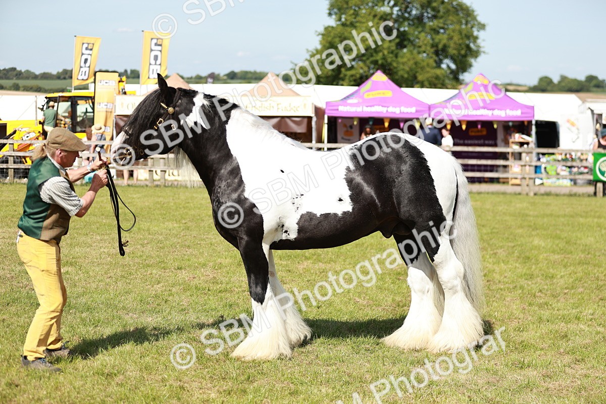 SBM_08859 - Class 63-65 - Traditional Gypsy Cobs In Hand & Ridden