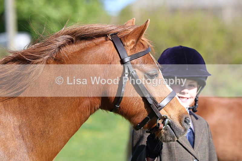 3E7A8439 - Class 12: M & M Small Breeds