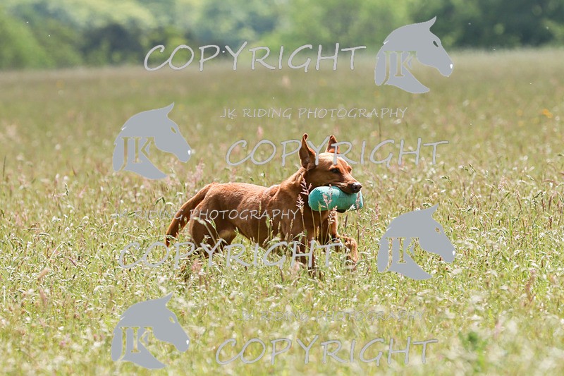 2R6A8794 - Prize Giving/General shots