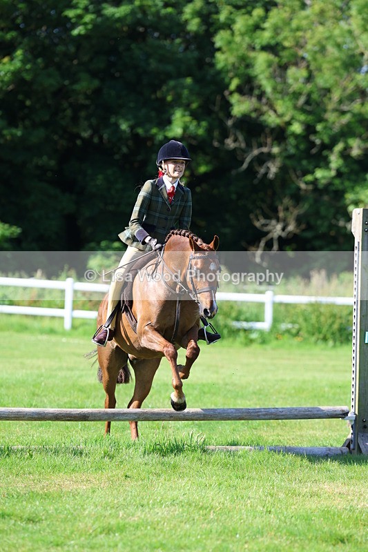 3E7A5904 - Class 27: Novice Working Hunter Pony