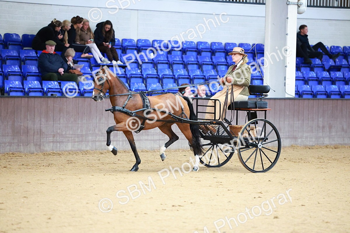 SBM_000130 - Class 3 - Alison Thomas Memorial Lady Whip
