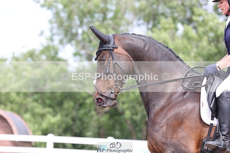 250620-113458-00715 - BD Cls 12 - Freestyle Medium