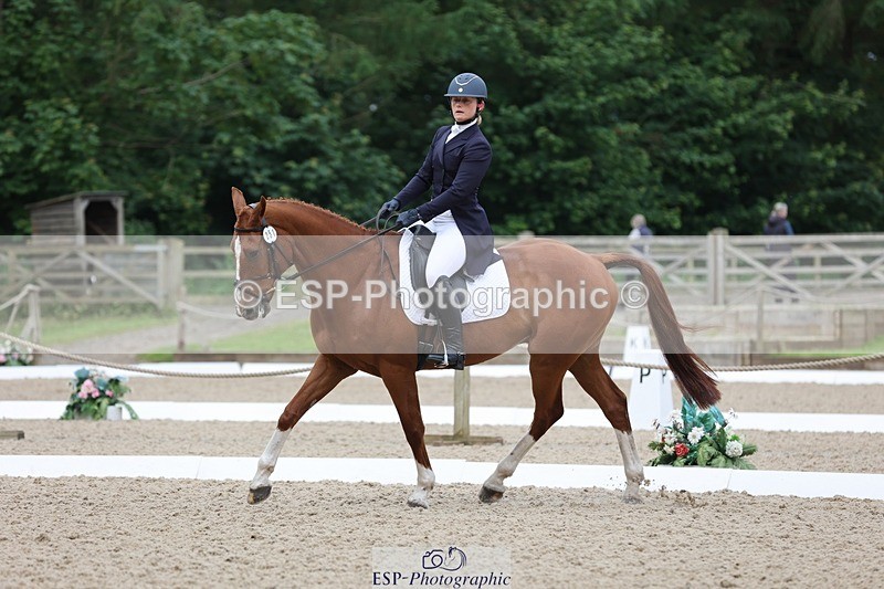 240524-090205-07041 - 251-MILESTONE_GOLD-Gaby_Bull