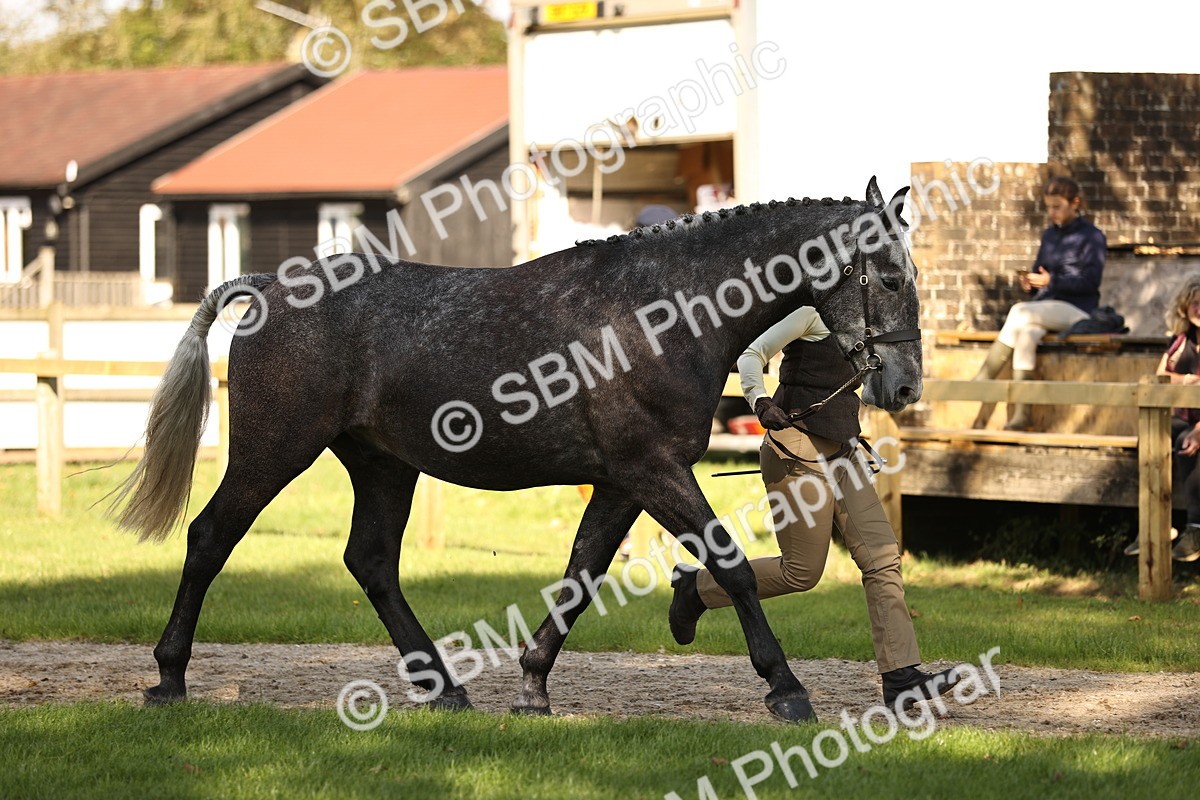 SBM_26187 - S5 - Novice & Newcomers In Hand
