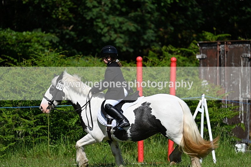 WJ7_0514 - Class 8 First Rally Pony
