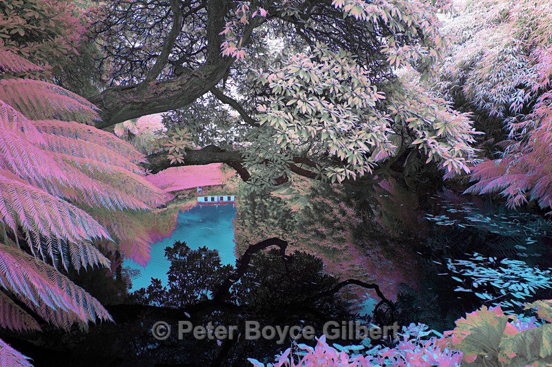 Heligan House - Infrared images