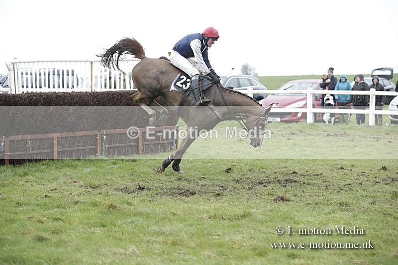 PtP 150320 0349 - New Forest Point-to-Point Larkhill 15/03/20
