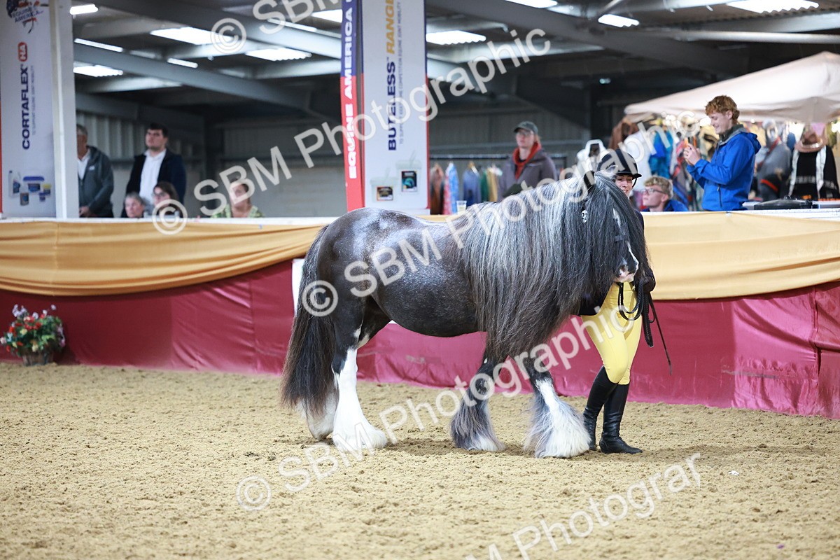 SBM_20102 - Class C - Novalty Champ