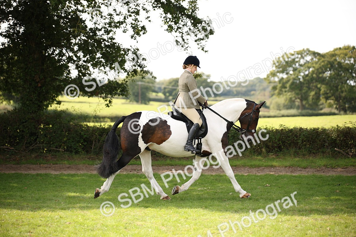 SBM_70070 - S65 - Piebald & Skewbald Horse Ridden