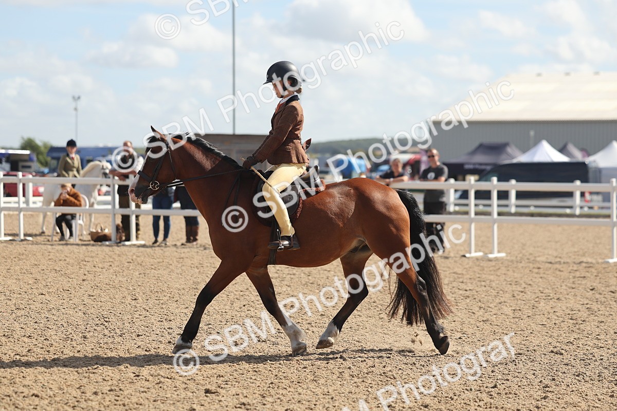 SBM_23105 - Class 806 - Young Rider 10ry and Under