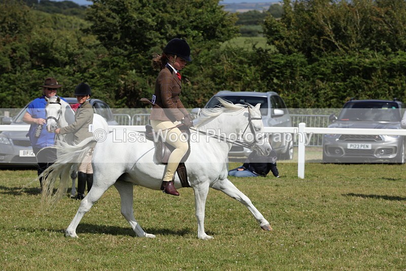 1X9A5757 - Class 40: NPS Welsh A & B