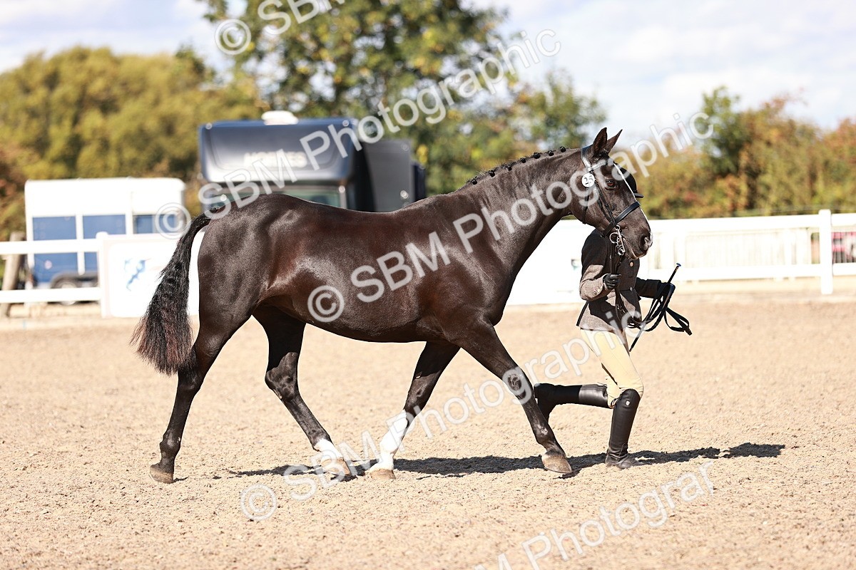 SBM_13304 - class 406 - IH Hunter