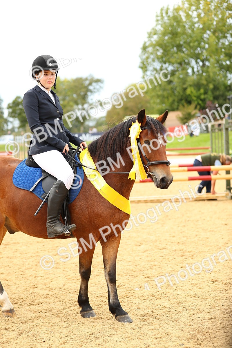 SBM_71291 - J18 - Junior Pony 85cm Championship