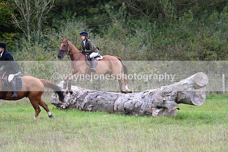 WJ7_3878 - Camera 1 Line 1