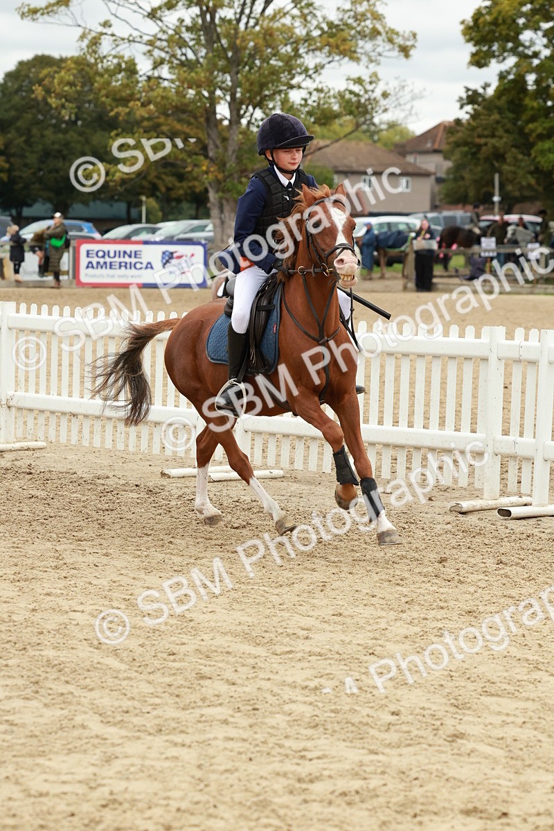 SBM_67187 - J13 - Junior Pony 60cm Championship