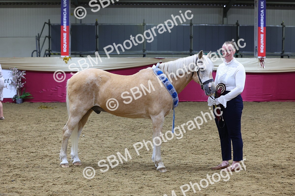 SBM_19793 - Class 901 - Supreme Final - IH Diamond