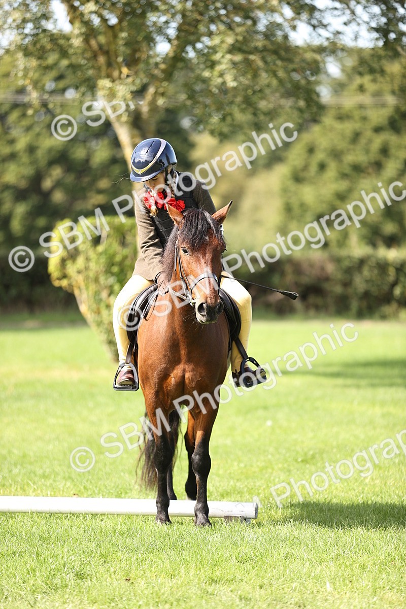 SBM_22953 - S4 - Have a Go at Working Equitation