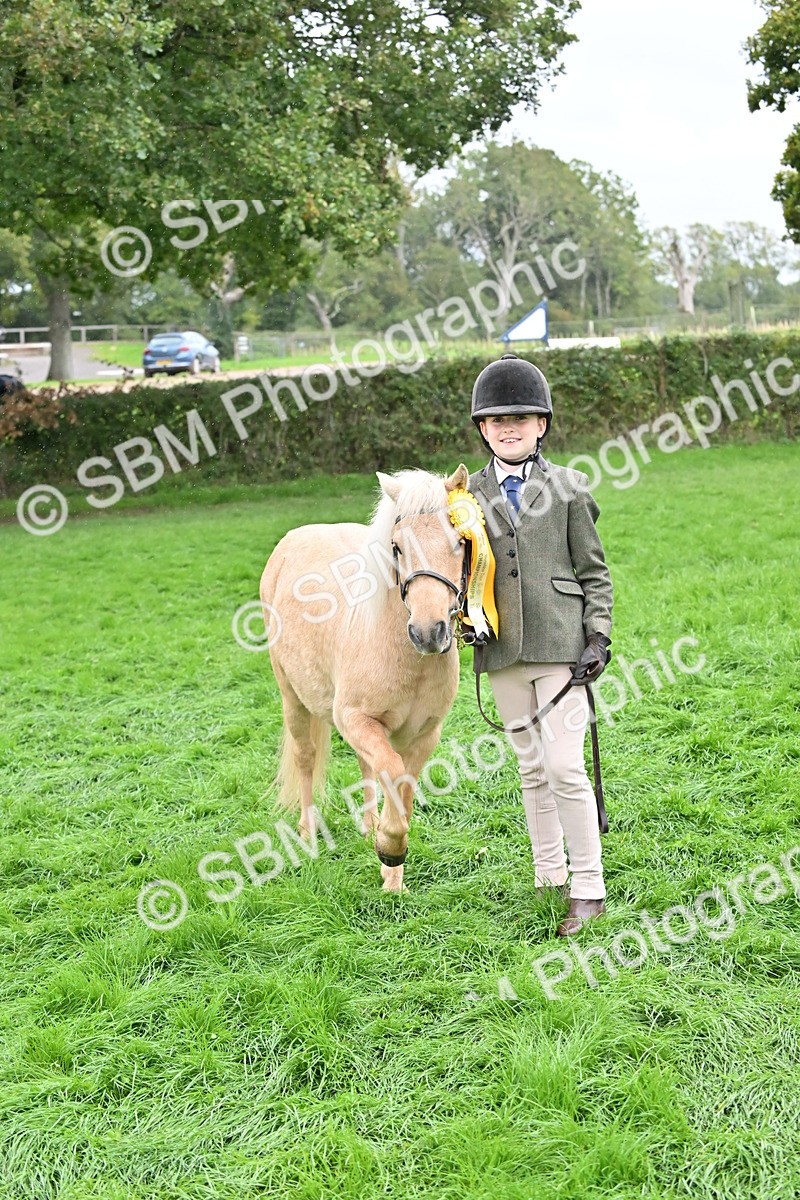 SBM_68672 - S42 - Junior Handler 9-12 Years