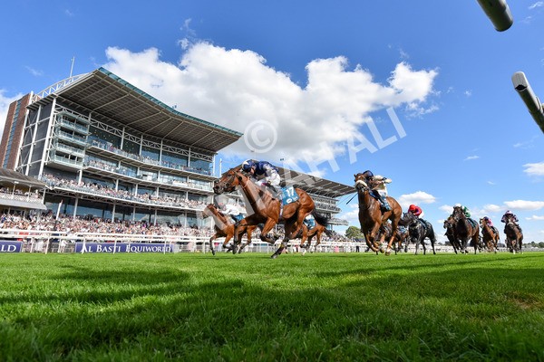280625-Race 6-Dream Out Loud-5473 - Race 6 4.50pm Al Basti Equiworld Dubai Sprint Handicap