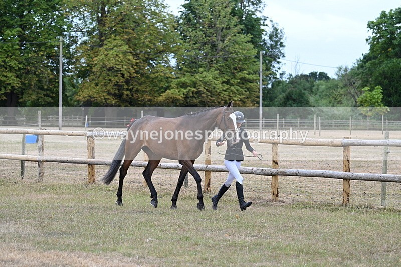 WJ7_8781 - Class 4a Prettiest Mare 14.2hh and over