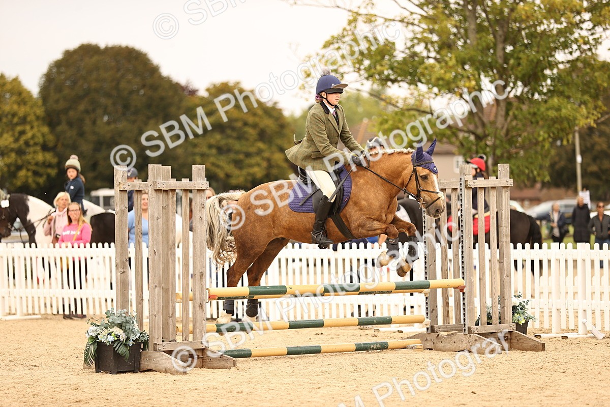 SBM_72527 - J14 - Junior Pony 65cm Championship