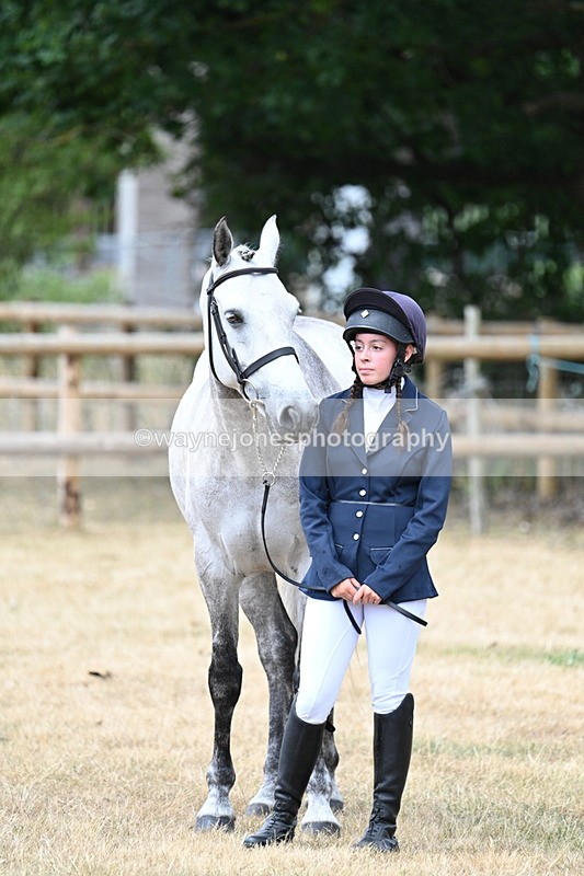 WJ7_1892 - Class 4a Prettiest Mare 14.2hh and over hand